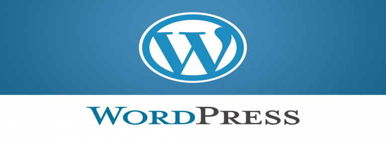 cara membuat website profesional dengan wordpress
